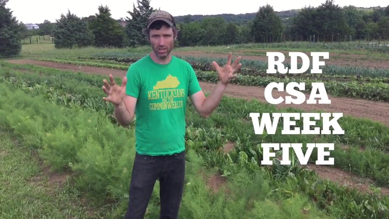 Rough Draft Farmstead CSA Week Five