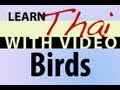 Learn Thai with Video - Birds