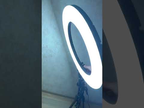 фото кольцевая лампа falcon eyes beautylight 480g led 0