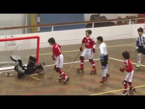 Miguel Pereira - Resumo de Defesas (APL Enc.Reg. 2016-01-17)