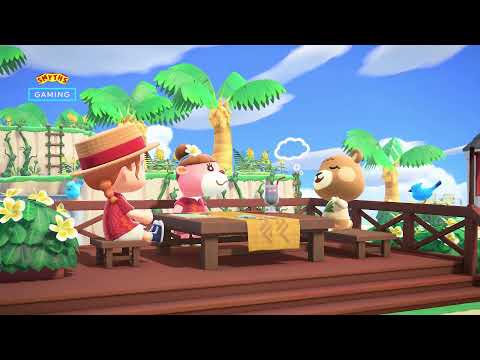 Video preview