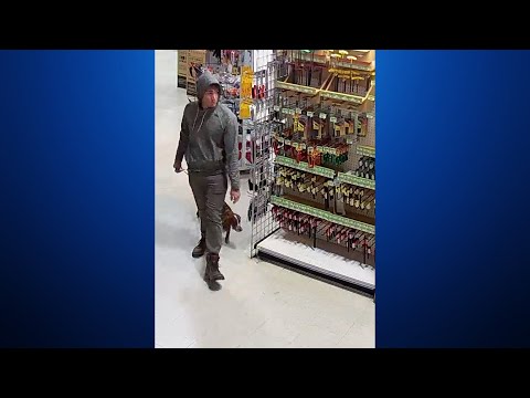 Boulder police search for dog after it bit a woman on the hand