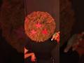 Dragon Ball Z Afro