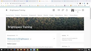 D2L Brightspace: Assignments--Casey Twining