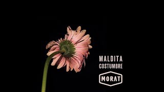 Morat - Maldita Costumbre - Balas Perdidas (Letra)