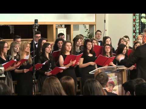 Amicus Timisoara   Pas cu pas