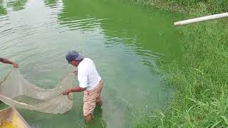 আড়াইহাজার