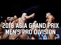 2018 AGP MEN'S PRO DIVISION