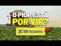 🚨ESSE DETALHE MUDA TUDO? BB SEGURIDADE: CONTRATO ATÉ 2033, DIVIDENDOS e mais | BBSE3