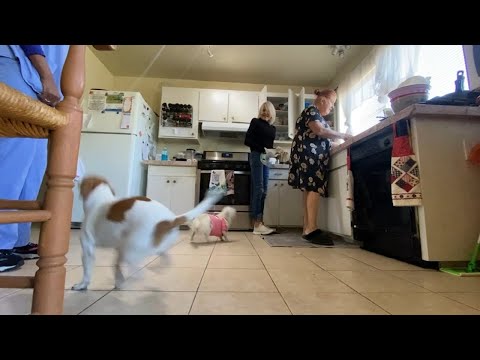 Bay Area nonprofit renting vacant homes to help formerly unhoused people