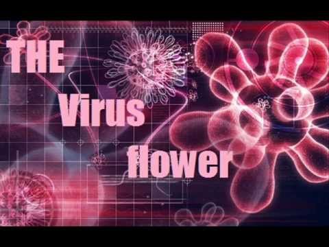 The virus flower By Christolikid