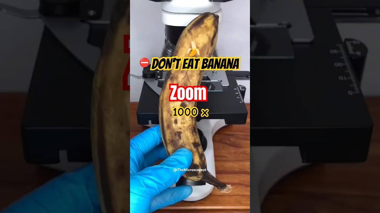 🍌 Banana Under microscope | Banana Zoom #microscope #zoom #banana
