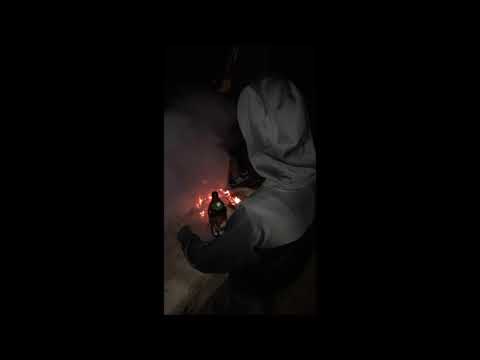 Rulo - Princesas rosas