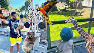 SAN FRANCISCO ZOO (MUST VISIT)