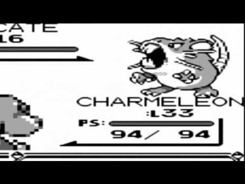 I Misteri dei Pokemon - Cosa è successo al Raticate di Gary?