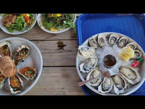 Hama Hama Oysters Hood Canal Lilliwaup, Washington & Hoodsport Winery Day Trip