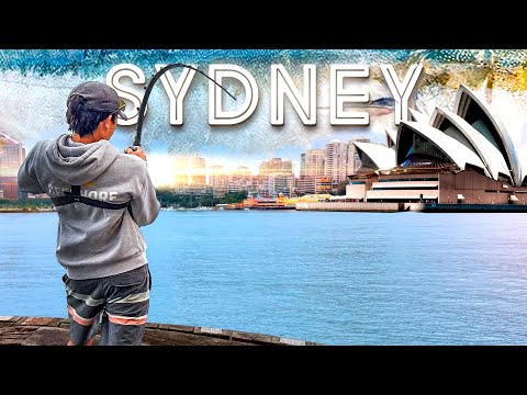 9 Days Fishing Australia's Most Urban City - Sydney Harbor