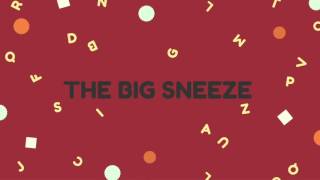Matthew Stern - The Big Sneeze