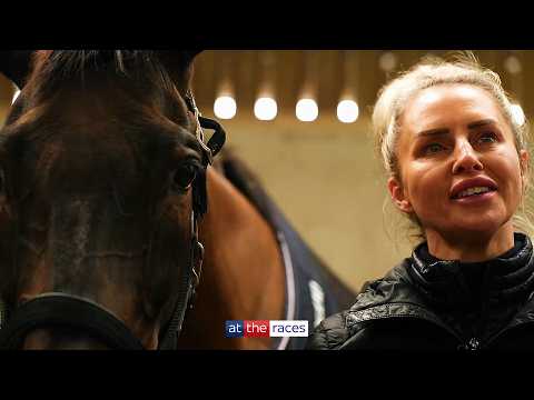 Curtis busca la gloria de la Copa de Oro de Cheltenham con el caballo de sus sueños, Haiti Couleu...