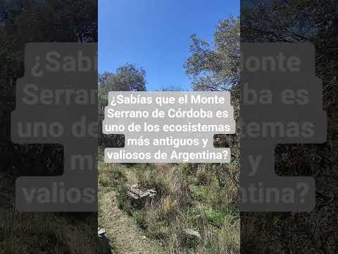 Monte Serrano de Córdoba es uno de los ecosistemas más antiguos y valiosos de Argentina #dinero