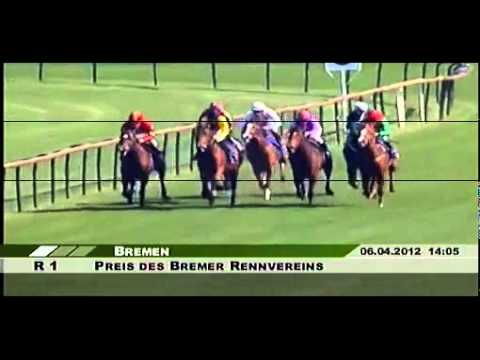 Preis des Bremer Rennvereins