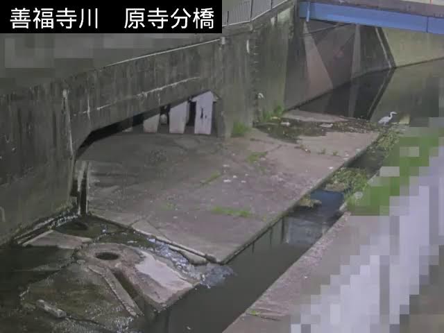 原寺分橋 下流