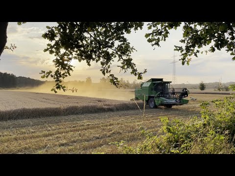 Dreschen 2024 mit Deutz Fahr PowerLiner 4030