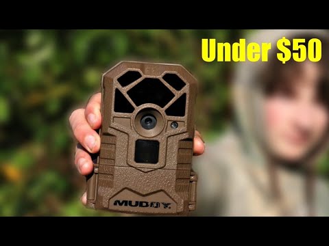 Muddy Hunter 14 review | The best budget trail cam?
