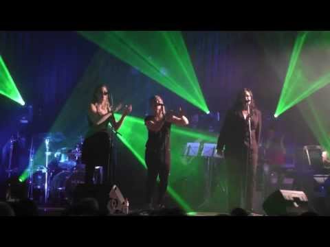 The Ladybug Rolling in the Deep Cover