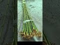 Bamboo Fishing Rod Making Fishing Diymakingfishingrod Hunting