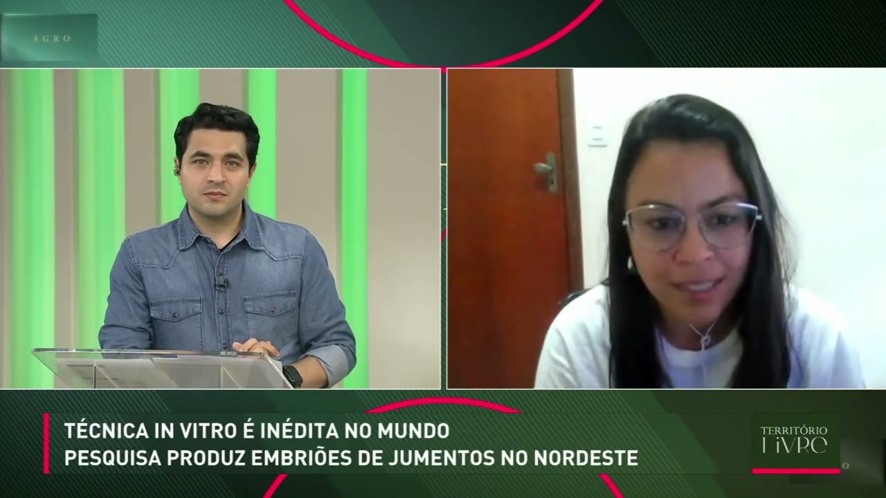 Pesquisa produz embriões de jumentos no Nordeste
