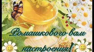🌼Нежного дня, как букет ромашек 🌼Красивая музыкальная открытка 🌼