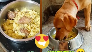 OMG😱 my puppy COOKED chicken rice 🍗🍚 for himself 😋😅 || LABRADOR RETRIEVER || HOMEMADE DOG FOOD