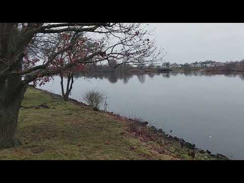 🇩🇪GERMANY: On the River Weser in Bremen-Hemelingen.