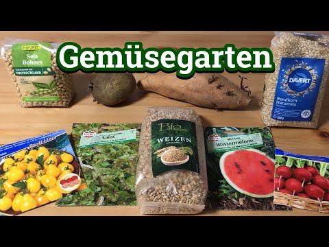 , title : 'Saatgut schnell keimen lassen mit „Hühner-Methode“! #gemüseanbau #tutorial'
