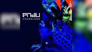PNAU | Chameleon