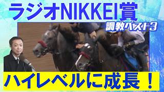 「四肢の連動性が良い！」ローベルクランツ、リッツパーティー、スカイスプレンダー・・・競馬エイト・高橋賢司トラックマンの調教解説＜ラジオNIKKEI賞(ＧⅢ)＞