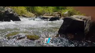 Download lagu DJ RONDO KEMPLING 2022 (FEAT DJ FAUZI ) mp3 Download lagu DJ RONDO KEMPLING 2022 (FEAT DJ FAUZI ) mp3