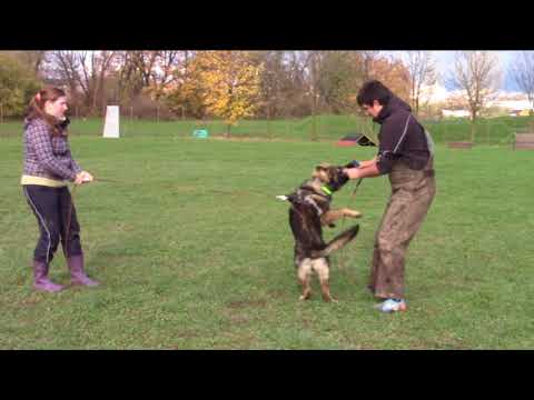 Patricia z Jukasu - obedience & protection - 4+7+10 months