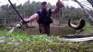 preview picture of video 'Trout Fishing The Gandy Creek West Virginia'
