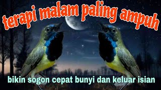 Download lagu Terapi ampuh sogon malam hari mp3