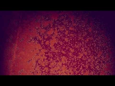 ENAMEL ANIMAL - 'Death To The Destroyer'