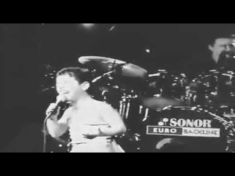 PATCHAI REYES DE PEKEÑO YA ERA UN FIERA DE PEKEÑO 2019