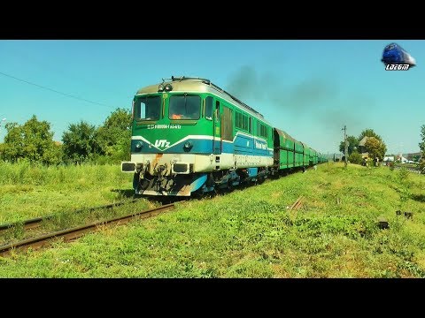LDE2100 60-0004-1 & Marfar Unicomn Tranzit Freight Train in Gara Oradea Vest Sation - 13 August 2019