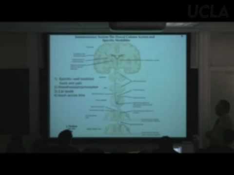 Behavioral Neuroscience II