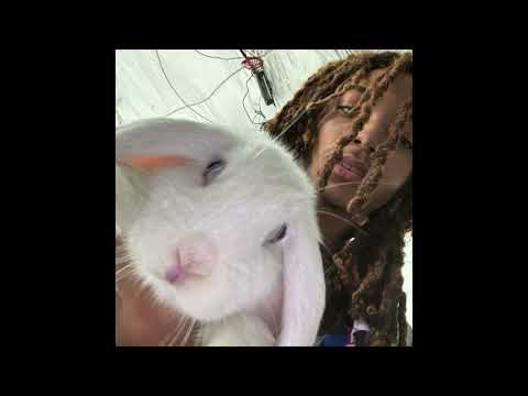 [FREE] Che x Hyperpop type beat - "XD"