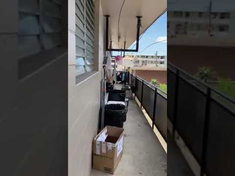 94108PUP - Video 2 of 2