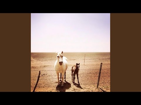 download lagu mp3 mp4 Admiral Trench Coat, download lagu Admiral Trench Coat gratis, unduh video klip Admiral Trench Coat