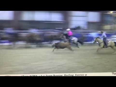 PQH One Time Sannman Heeling