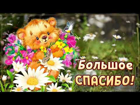 Спасибо большое! Видео открытка с благодарностью. Милый голос.